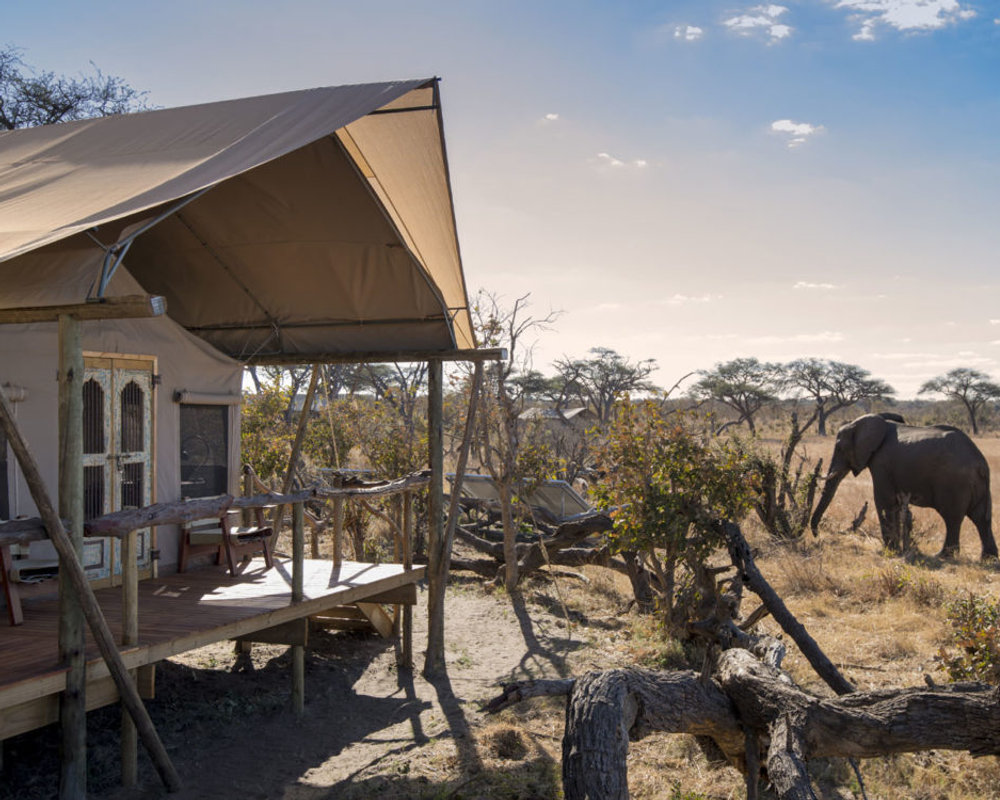 Somalisa Expeditions in Hwange National Park