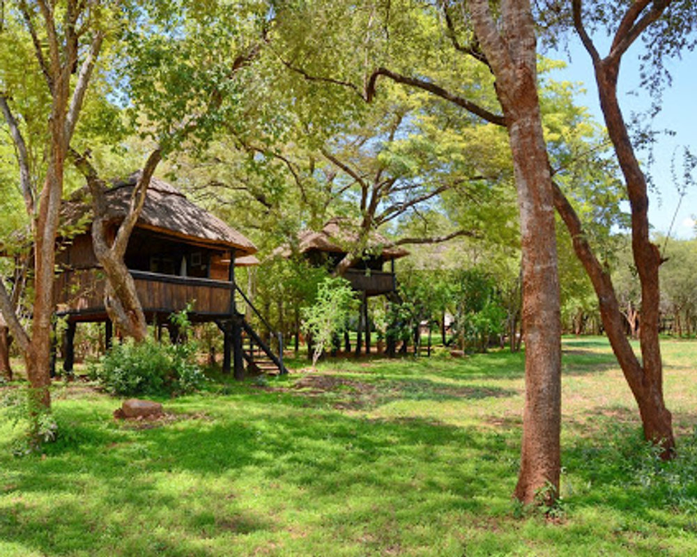Ivory Lodge in Hwange National Park