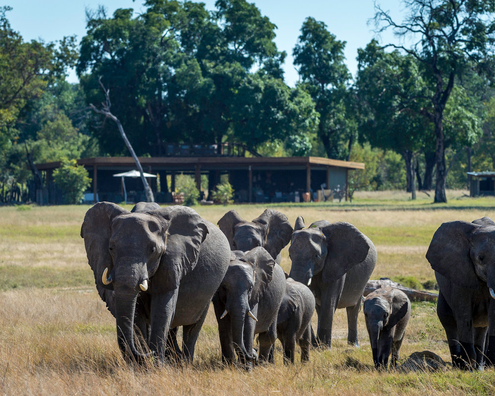 Davison's Camp in Hwange National Park