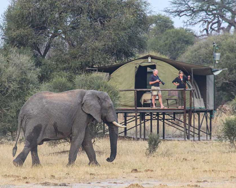 Jozibanini Camp in Hwange National Park