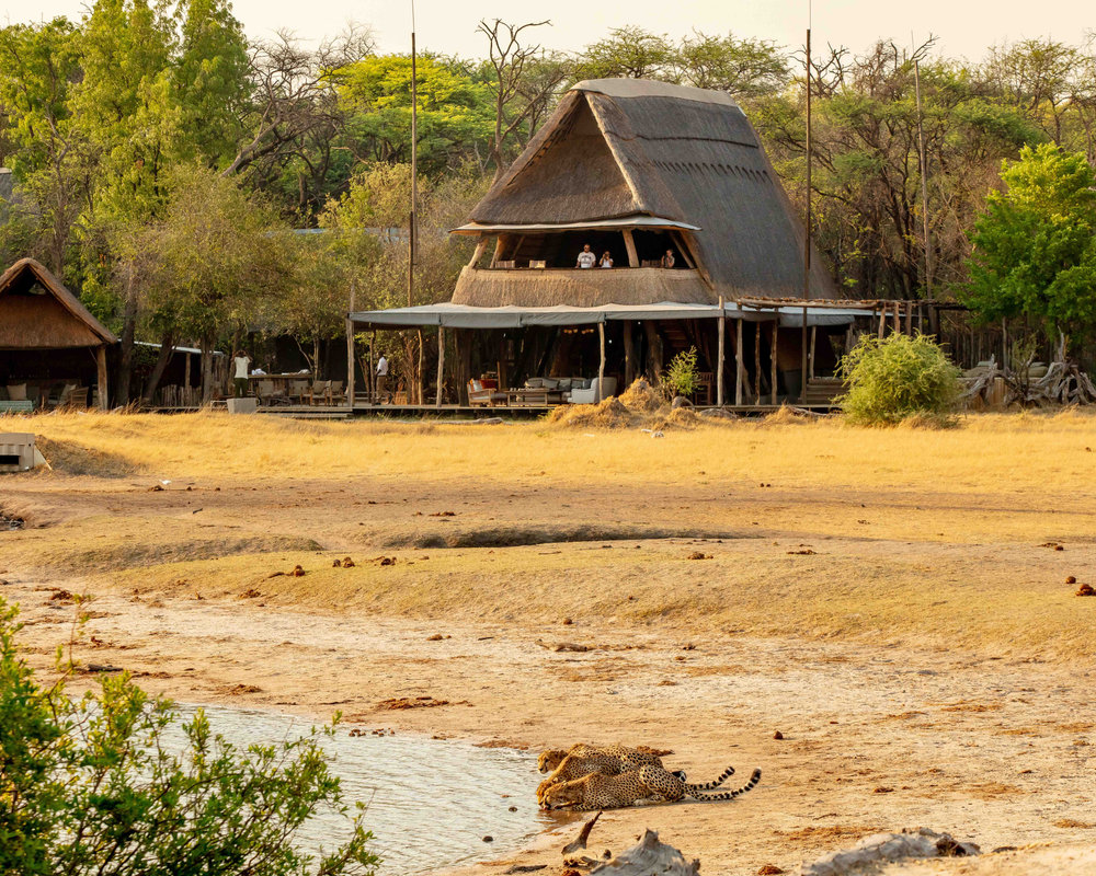 The Hide in Hwange National Park